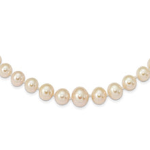 Load image into Gallery viewer, MIRABELLA - Graduated Pearl Freshwater Necklace